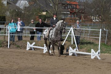 Bild 1288 - WBO-Turnier am 9.4.11